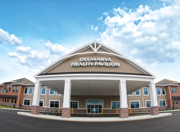 Tidalhealth Cardiovascular Surgery Millsboro - Millsboro, DE