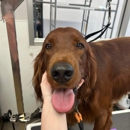 Petsense by Tractor Supply - Pet Stores