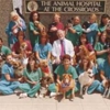 The Animal Hospital at the Crossroads gallery