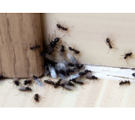 Humphreys Pest Control - Glenside - Glenside, PA