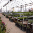 Ballard's Nursery - Nurseries-Plants & Trees