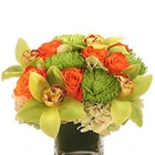 Lilium Florist