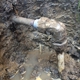Acute Plumbing Care