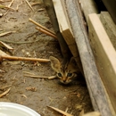O&R Pest Control Services - Pest Control Equipment & Supplies