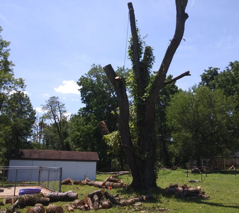 Mike Mitzel's Tree Service - Dover, PA. 11 ft. Round Cherry