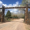 Colorado Conifers gallery