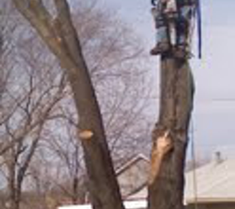 Overland Park Tree Care - Spring Hill, KS