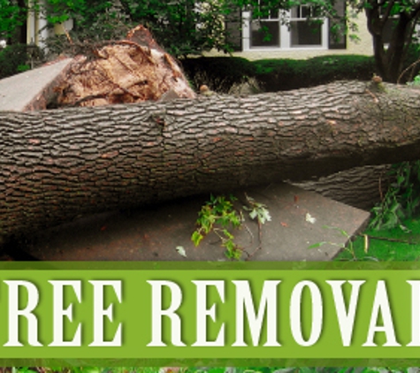 Progressive Tree Service - Greenville, MI