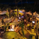 Tala Beach - Bars