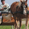 Concord Equestrian Center gallery