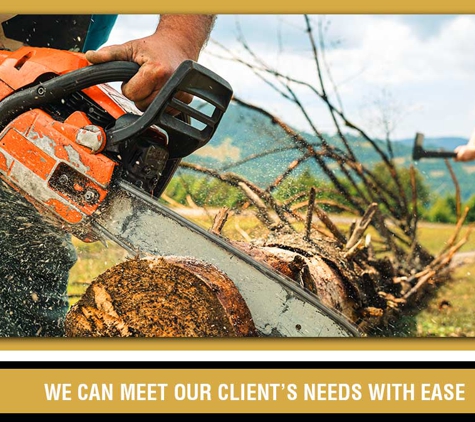 Specialised Tree Services - West Gosford, NSW. We Can Meet Our Client’s Needs With Ease