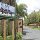Star Stables Miami - Horse Training
