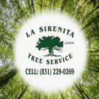 La Sirenita Tree Service