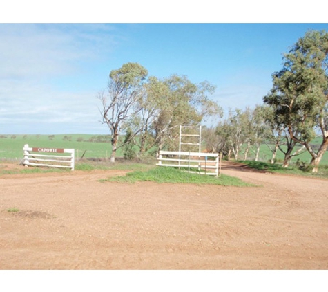 Paterson Property Valuers WA Pty Ltd - North Perth, WA. Farm gate, Northampton