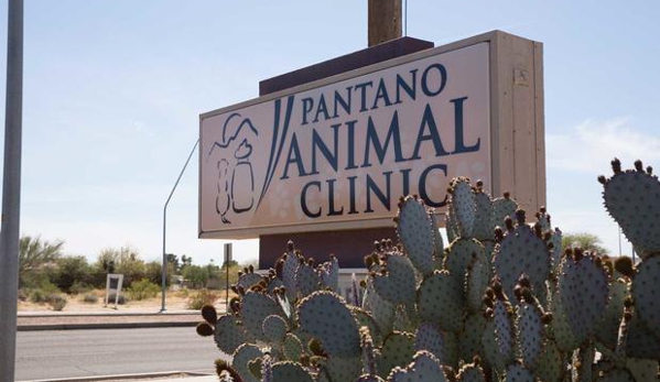 Pantano Animal Clinic - Tucson, AZ