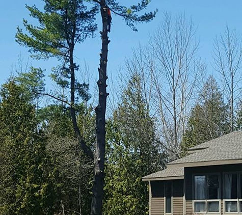 Arborcare - Harrisville, NY