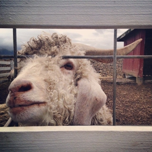 Blue Heron French Cheese Co - Tillamook, OR