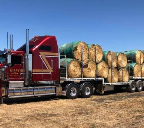 Kelly Livestock Pty Ltd - Port Fairy, VIC