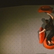 Shift Climbing