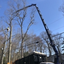 Heritage Tree Solutions - Tree Service