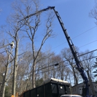 Heritage Tree Solutions