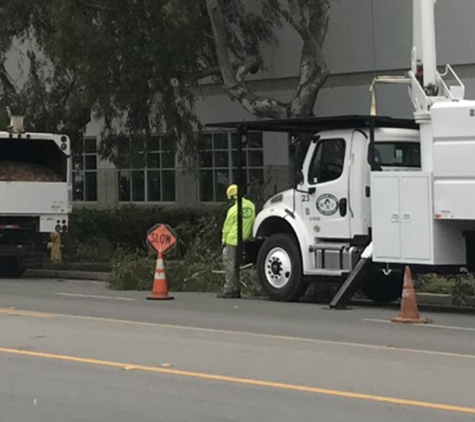 Newbury Park Tree Service - Thousand Oaks, CA