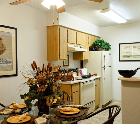 Saddle Ridge Apartments - Tucson, AZ