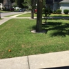 Polyrey Landscaping gallery