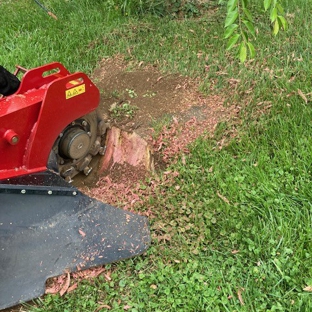 Absolute Stump Grinding - Crestwood, KY