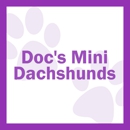 Docs Mini Dachshunds - Pet Breeders