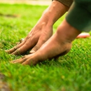 Allen's Landscaping - Gardeners