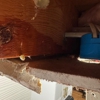 DRYmedic Restoration Services of Cincinnati gallery