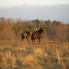 Jumping H Farm gallery