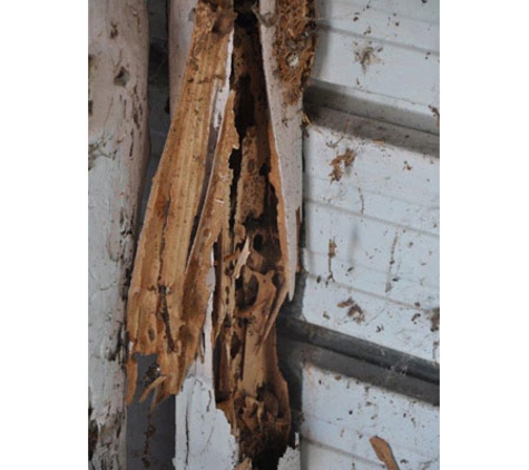 POD's Pest Control - Garbutt, QLD
