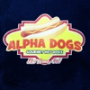 Alpha Dogs gallery