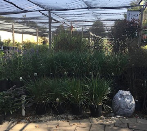 Danchris Nursery - Streator, IL