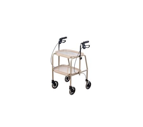 Stairlift Tasmania - Derwent Park, TAS