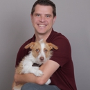 CityVet | Surprise - Pet Services
