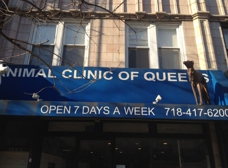 A Animal Clinic of Queens - Ridgewood, NY 11385