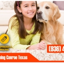 Carpet Cleaning Conroe Texas - Carpet & Rug Cleaners