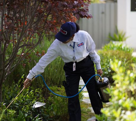 Clark Pest Control - Sonora, CA