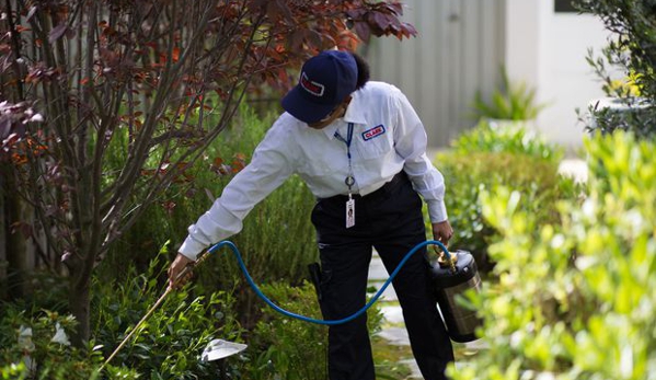 Clark Pest Control - Riverside, CA