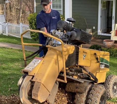 Eagle Stump Removal - Scottsville, KY