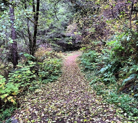 Russian Gulch State Park - Mendocino, CA