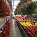 Ebert's Greenhouse Village - Greenhouses