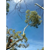 Gallery Image Number 7