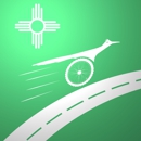 Roadrunner Mobile Notary and Courier Service LLC - Notaries Public