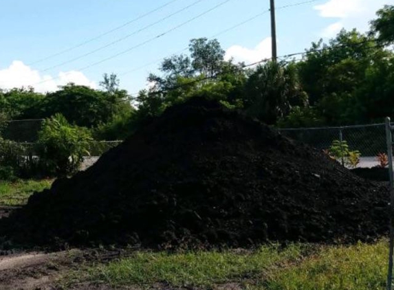 Amazon Plants and aggregate - Miami, FL