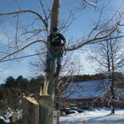 Bryan McFadden LLC Tree Surgeon