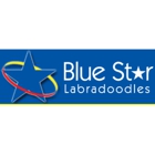 Blue Star Labradoodles